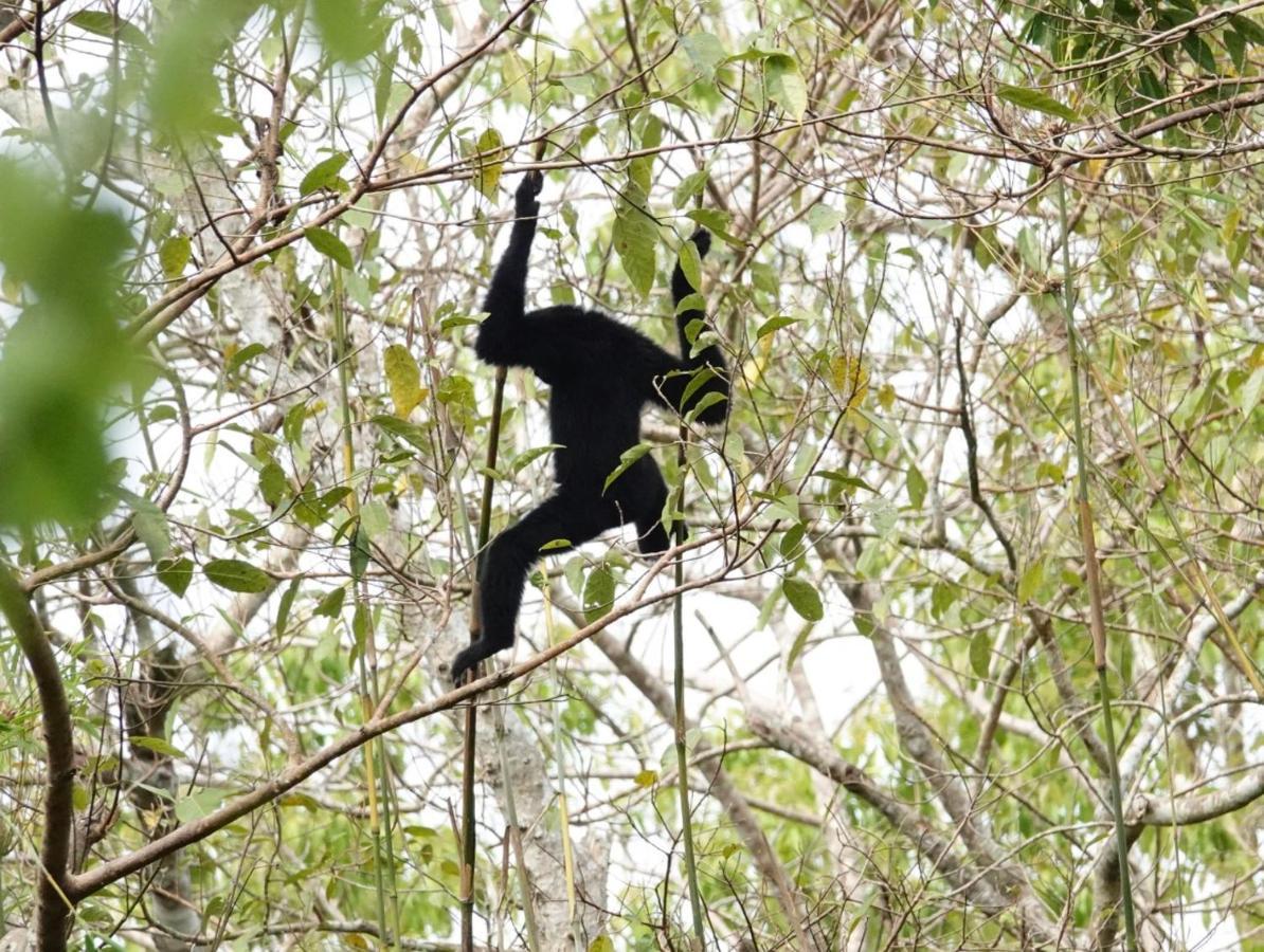 Thuy Tien Ecolodge Cat Tien Luaran gambar
